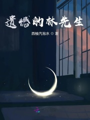 遗憾的林先生在线阅读