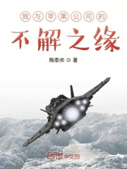 我与苹果公司的不解之缘在线阅读