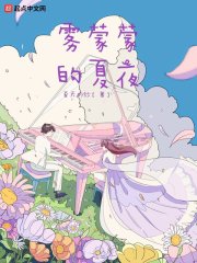 雾蒙蒙的夏夜在线阅读
