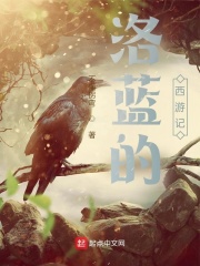 洛蓝的西游记在线阅读