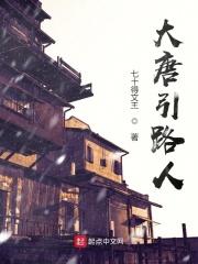 大唐引路人在线阅读