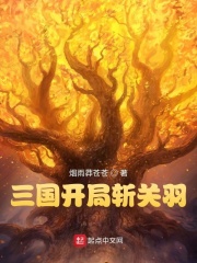 三国开局斩关羽在线阅读