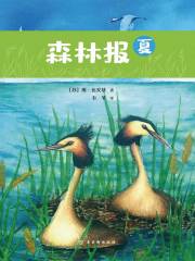 森林报：夏在线阅读
