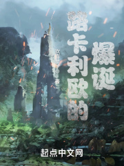 路卡利欧的爆诞在线阅读
