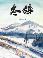 冬辞在线阅读