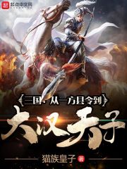 三国：从一方县令到大汉天子在线阅读