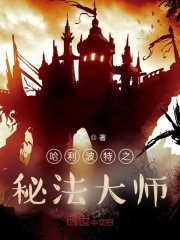 霍格沃茨之秘法大师在线阅读