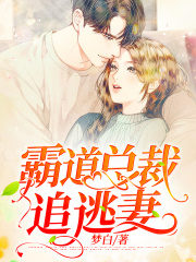 霸道总裁追逃妻