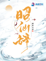 昭仙辞在线阅读