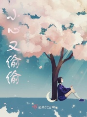 小心又偷偷在线阅读