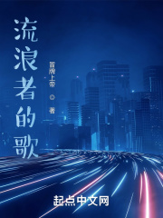 流浪者的歌在线阅读