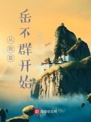 从我是岳不群开始在线阅读