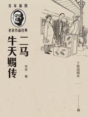 二马 牛天赐传：丁聪插图本
