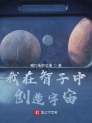 我在智子中创造宇宙在线阅读