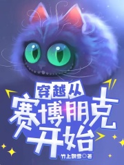 穿越从赛博朋克开始在线阅读