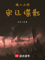 误入山河：宋辽谍影封面