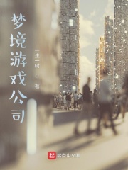梦境游戏公司在线阅读