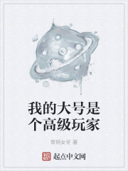 我的大号是个高级玩家