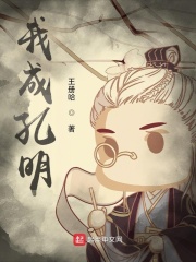 我成孔明在线阅读