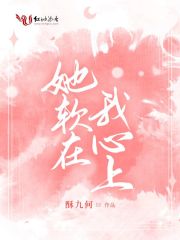 她软在我心上在线阅读