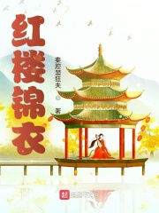 红楼锦衣在线阅读
