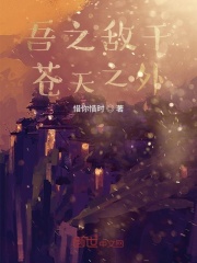 吾之敌于苍天之外