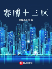 赛博十三区在线阅读