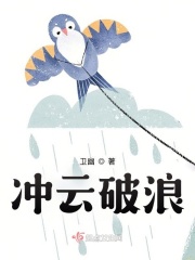 冲云破浪在线阅读