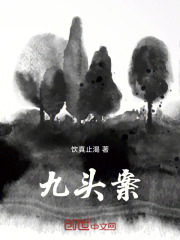 九头案