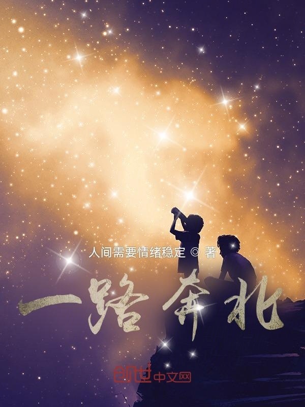 一路奔北在线阅读