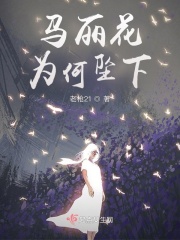马丽花为何坠下在线阅读