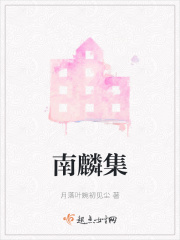 南麟集在线阅读
