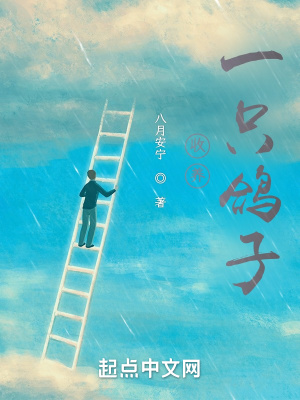 收养一只鸽子在线阅读