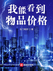我能看到物品价格在线阅读