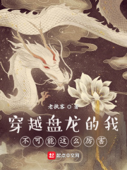 穿越盘龙的我不可能这么厉害在线阅读