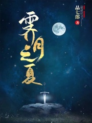 霁月之夏在线阅读