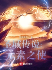 圣域传说：元素之使