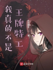 我真的不是王牌特工在线阅读