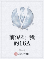 前传2：我的16A
