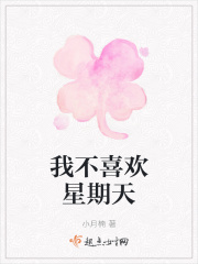 我不喜欢星期天在线阅读