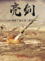 亮剑：我成了独立团二营长在线阅读