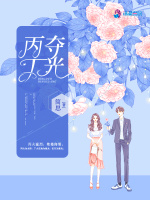 丙夺丁光在线阅读