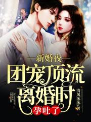 新婚夜，团宠顶流离婚时孕吐了