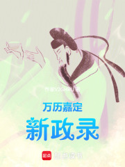 万历嘉定新政录