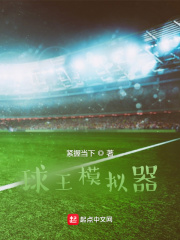 球王模拟器在线阅读