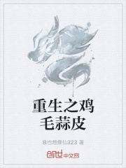 重生之鸡毛蒜皮在线阅读