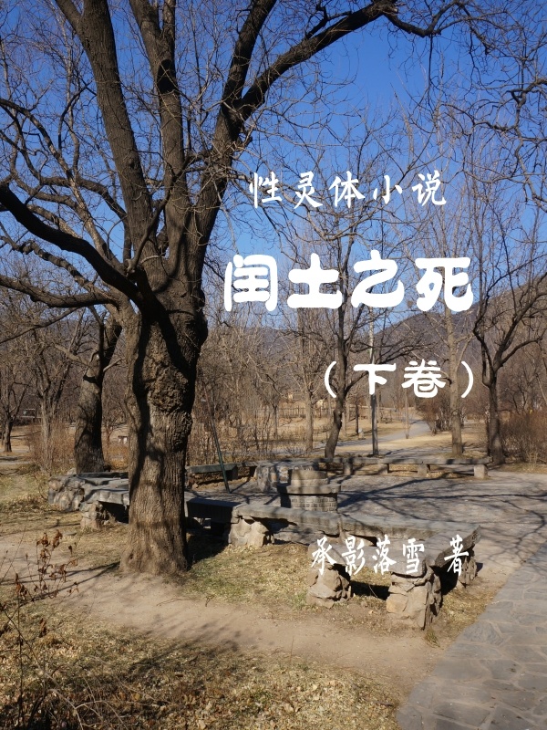 性灵体小说：闰土之死下卷在线阅读
