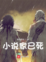 小说家已死封面