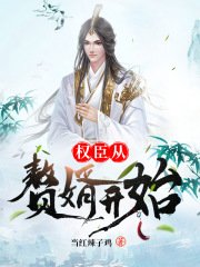 权臣从赘婿开始