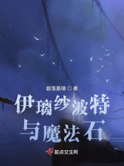 伊璃纱波特与魔法石在线阅读